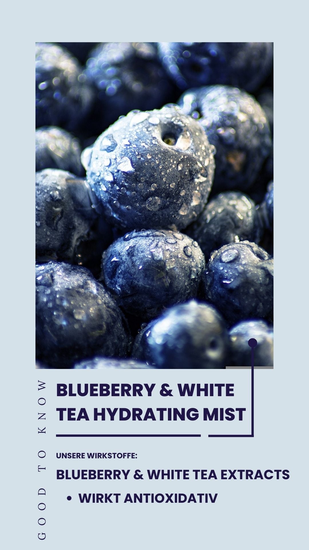 Blueberry & White Tea Hydrating Mist - CIRCADIA