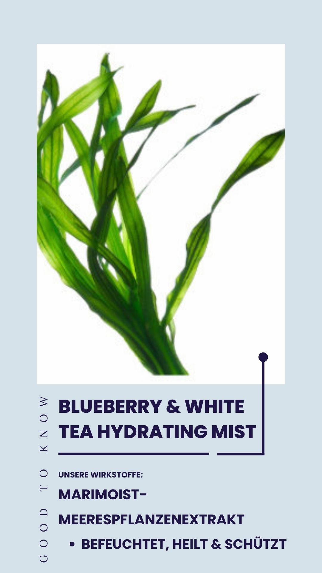 Blueberry & White Tea Hydrating Mist - CIRCADIA