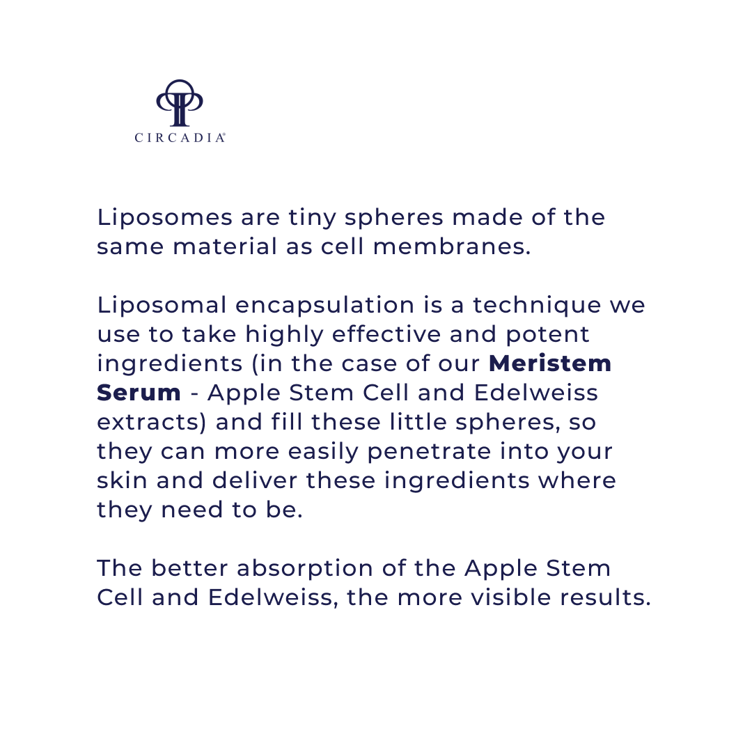 MeriStem Serum - CIRCADIA